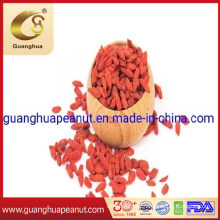 High Quality Dried Goji Berry From China